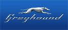Company "Greyhound"